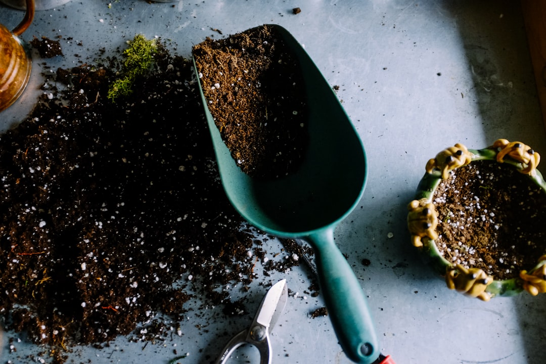 découvrez comment créer un jardin à faible entretien qui éblouit sans exiger trop de temps. explorez des plantes faciles à entretenir, des conseils de conception et des astuces pour profiter pleinement de votre espace extérieur sans les tracas du jardinage traditionnel.